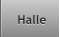 Halle Halle