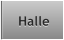 Halle Halle