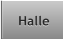 Halle Halle