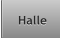 Halle Halle