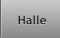 Halle Halle