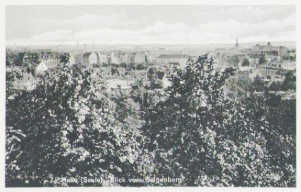 alte Postkarte mit Blick vom Galgenberg auf Halle