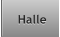 Halle Halle