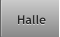 Halle Halle