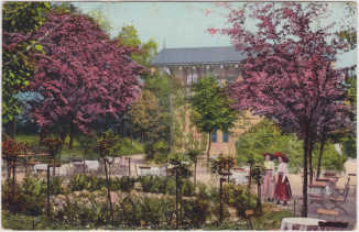 Blhende Rotdornbume in Bad Wittekind - Kurhaus 1914