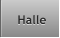 Halle Halle