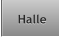 Halle Halle