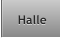 Halle Halle