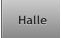 Halle Halle