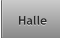 Halle Halle
